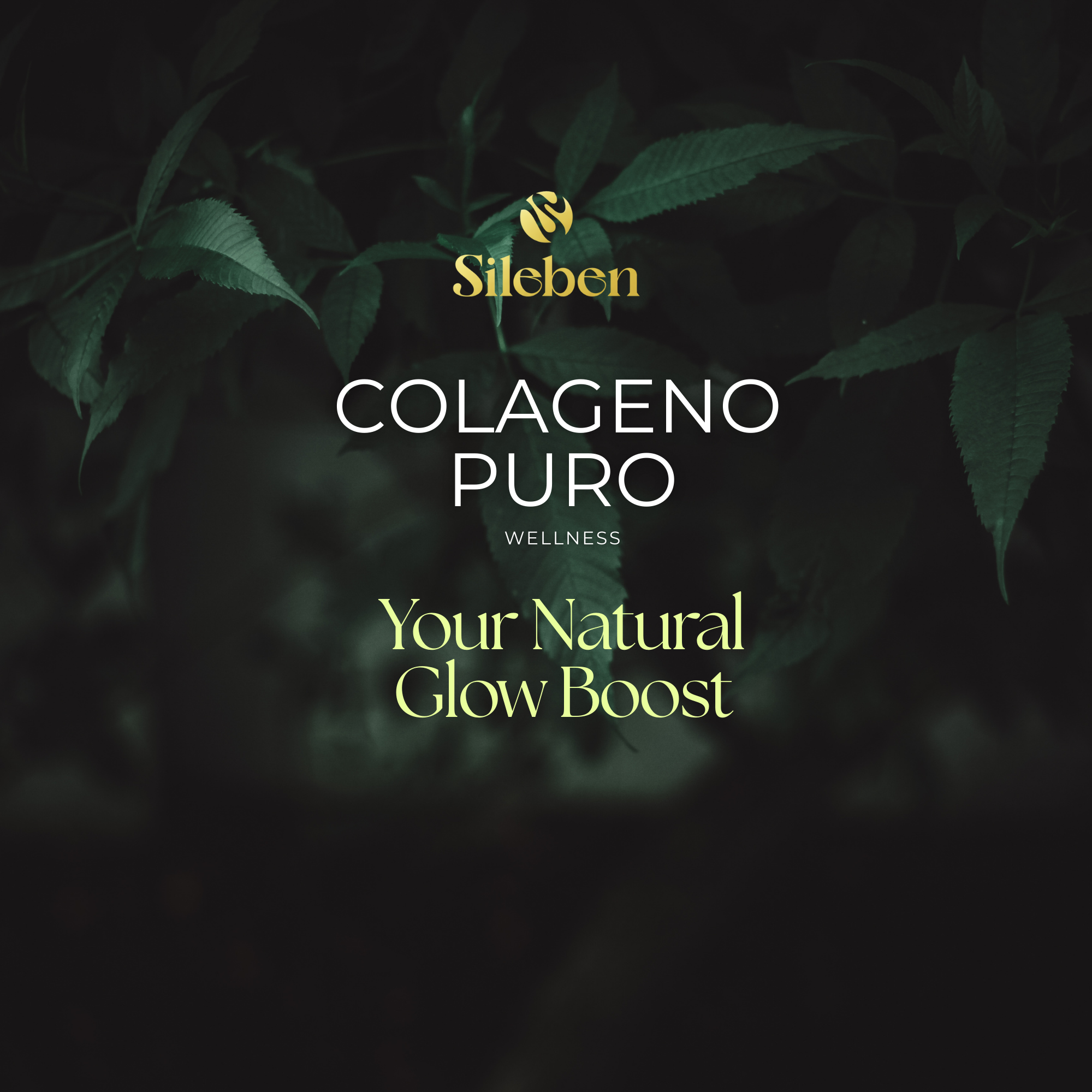 Colageno en Péptidos Bioactivos | Ácido Hialurónico | Vitamina C  450 g