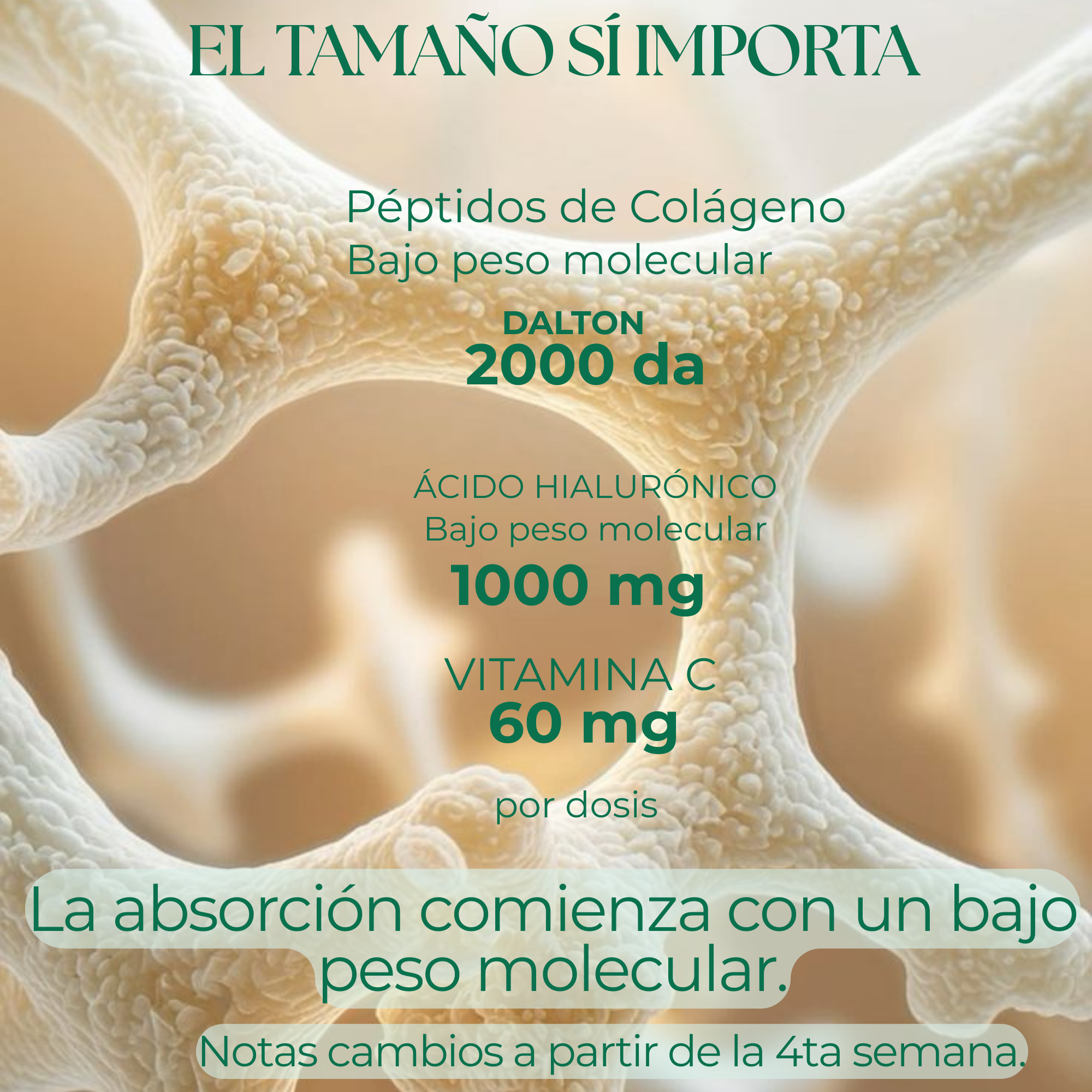 Colageno en Péptidos Bioactivos | Ácido Hialurónico | Vitamina C  450 g