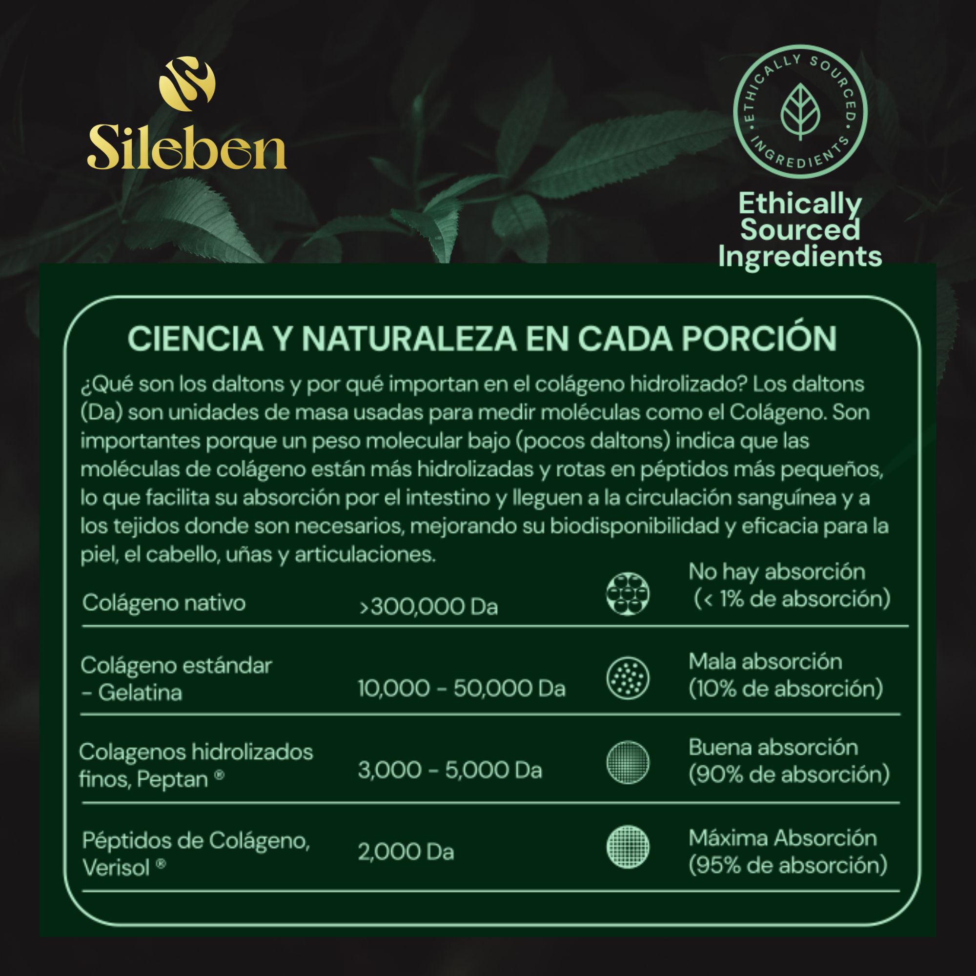 Colageno en Péptidos Bioactivos | Ácido Hialurónico | Vitamina C  450 g