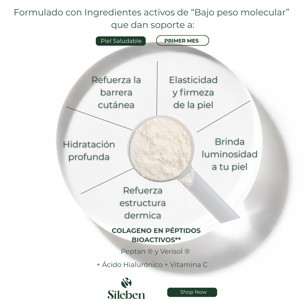 Colageno en Péptidos Bioactivos | Ácido Hialurónico | Vitamina C  450 g
