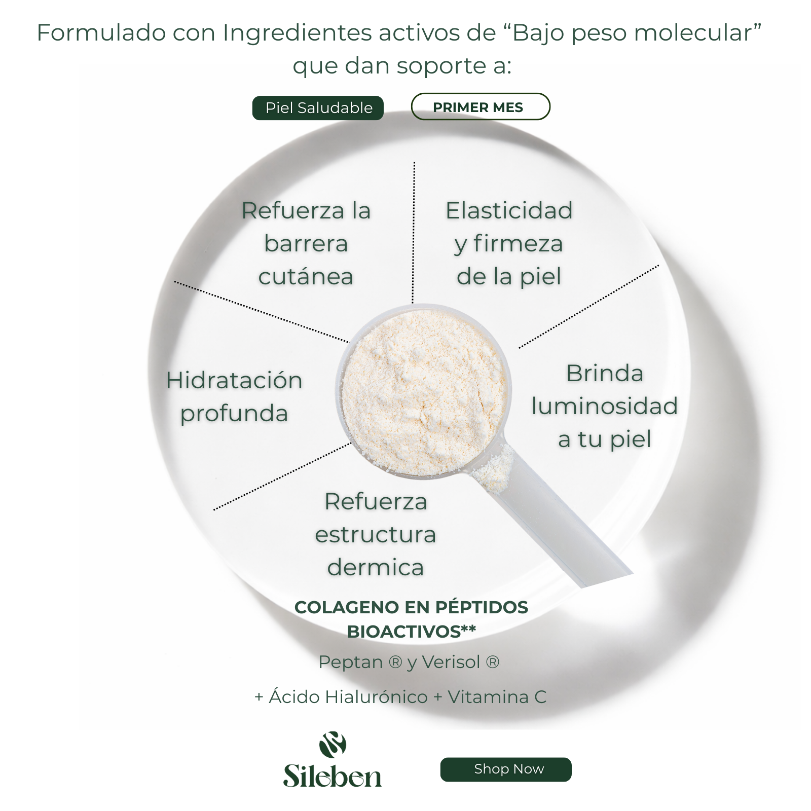 Colageno en Péptidos Bioactivos | Ácido Hialurónico | Vitamina C  450 g
