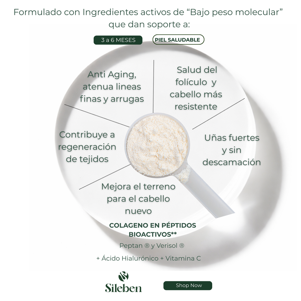 Colageno en Péptidos Bioactivos | Ácido Hialurónico | Vitamina C  450 g